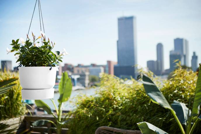 greenville hängeampel 24cm weiss